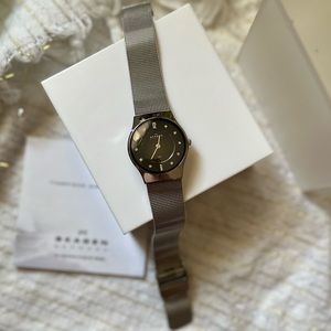 Skagen Ladies Stainless Steel Watch